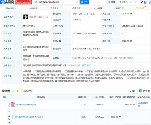 润泽科技连设两子公司，深耕AI基础软件等领域
