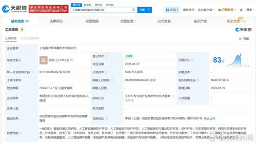 赛力斯的AI野心 以人工智能基础软件为支点，撬动智能汽车新未来