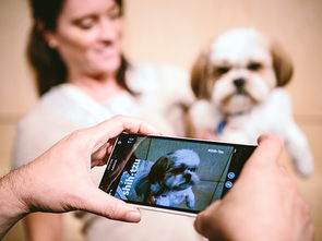 探索人工智能开发 49个常用API与基础软件开发指南