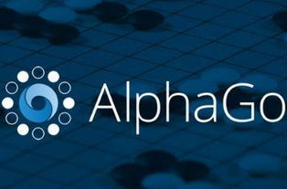 谁能打败AlphaGo Zero？多角度探秘主流围棋AI的博弈与未来